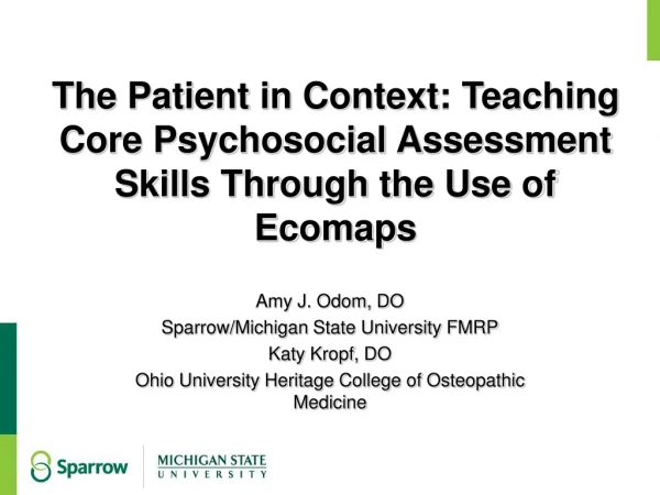 The Patient in Context: Teaching Core Psychosocial Assessment Skills Through the Use of  Ecomaps