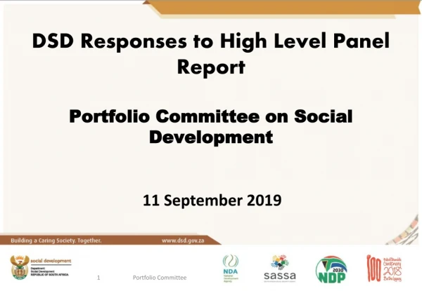 DSD Responses to High Level Panel Report Portfolio  Committee on Social Development