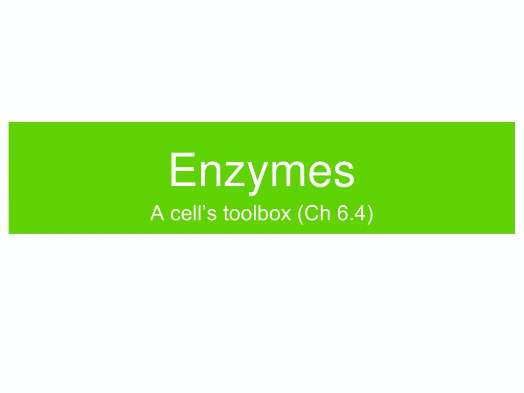 enzymes