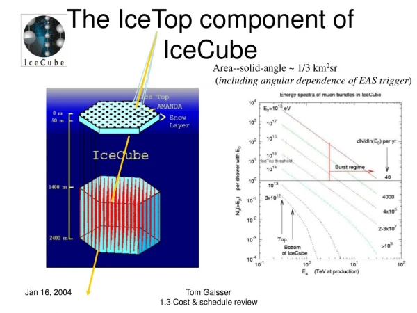 The IceTop component of IceCube