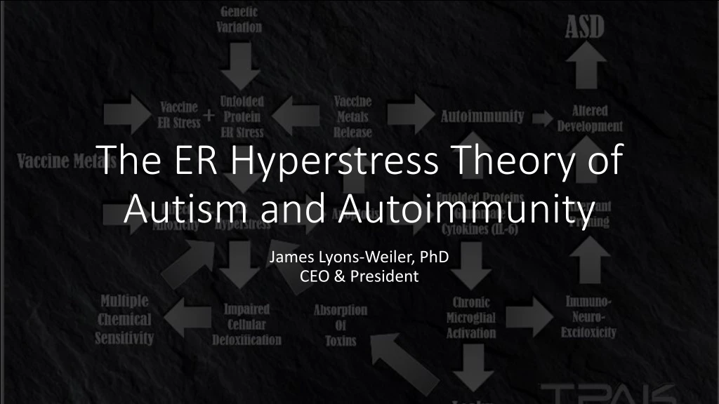 the er hyperstress theory of autism and autoimmunity