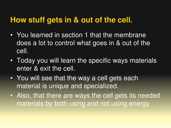 How stuff gets in &amp; out of the cell.