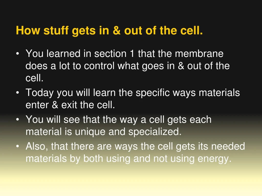 how stuff gets in out of the cell