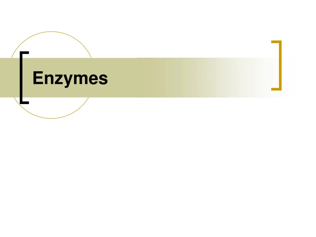 enzymes