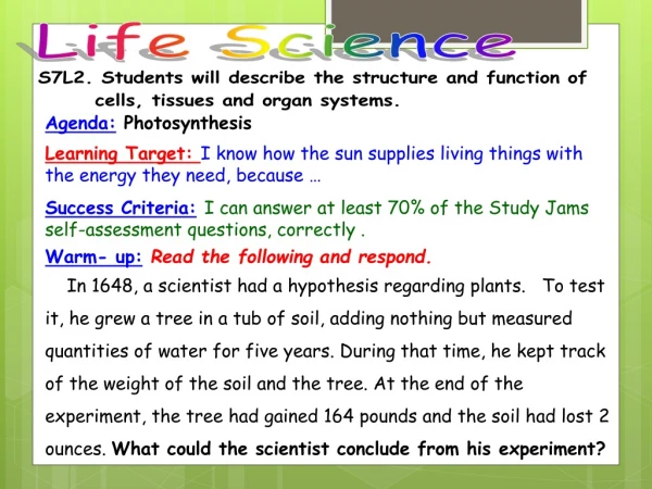 Agenda: Photosynthesis