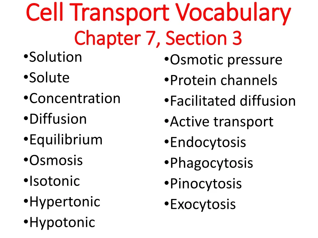 cell transport vocabulary chapter 7 section 3