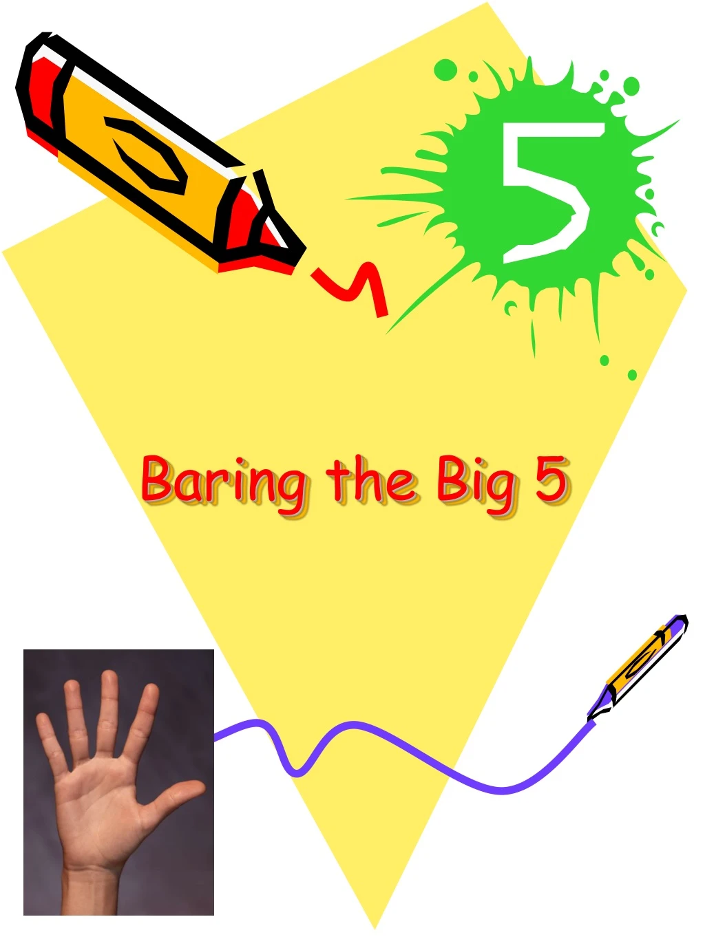 baring the big 5