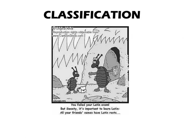 CLASSIFICATION