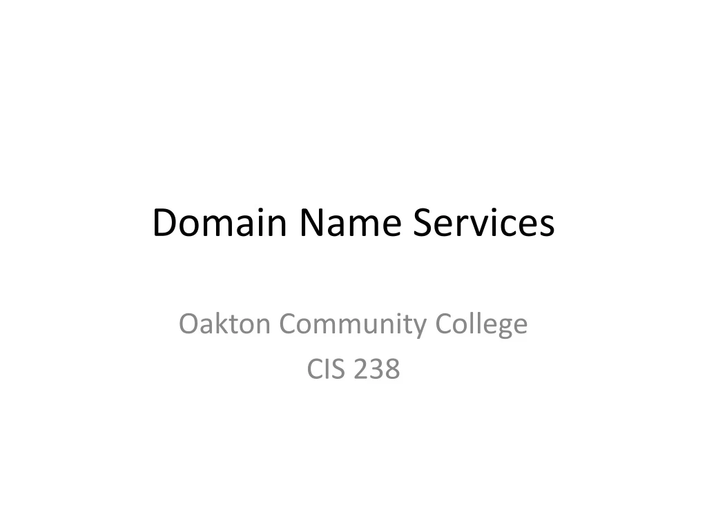 domain name services