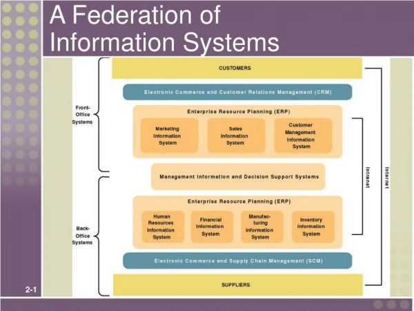 A Federation of  Information Systems
