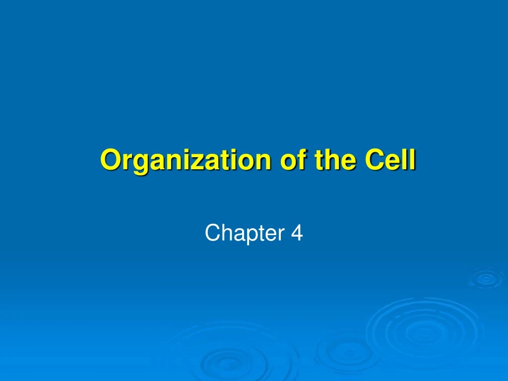 organization of the cell