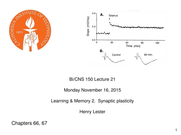 Bi/CNS 150 Lecture 21       Monday November 16, 2015 Learning &amp; Memory 2.  Synaptic plasticity