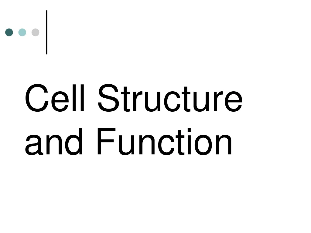 cell structure and function