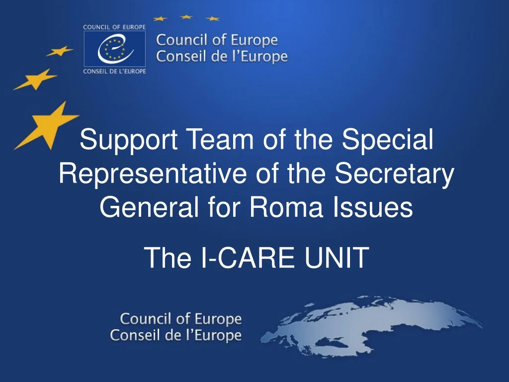 support team of the special representative
