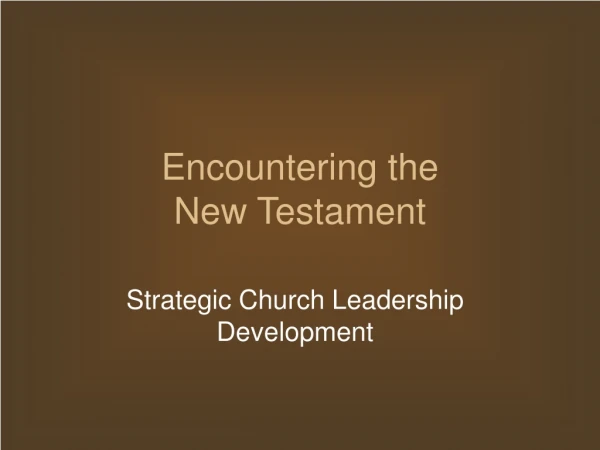 Encountering the  New Testament