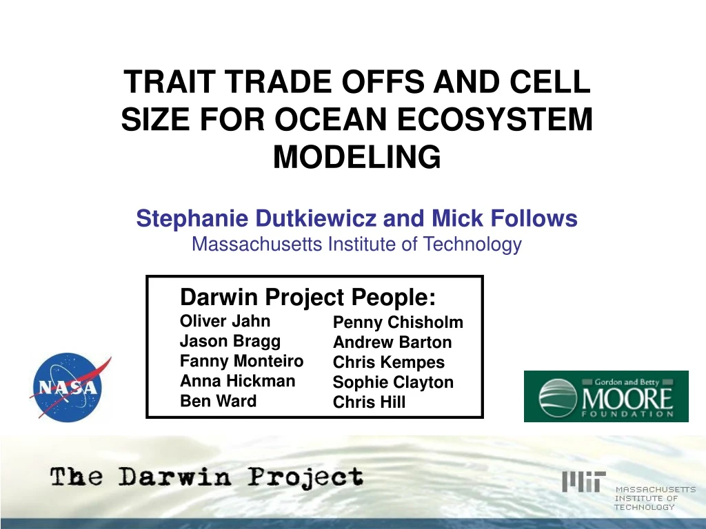 trait trade offs and cell size for ocean