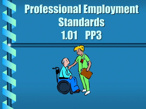 Professional Employment Standards 1.01    PP3