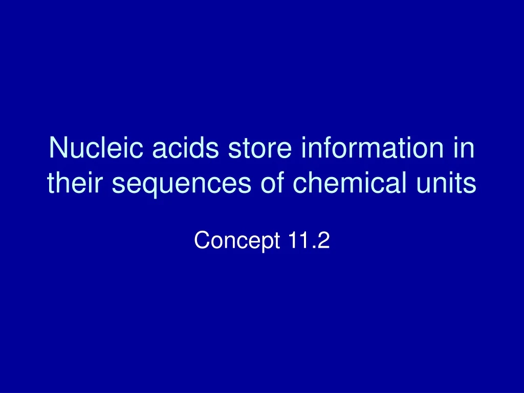 nucleic acids store information in their sequences of chemical units