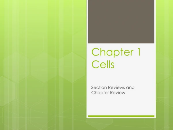 Chapter 1 Cells