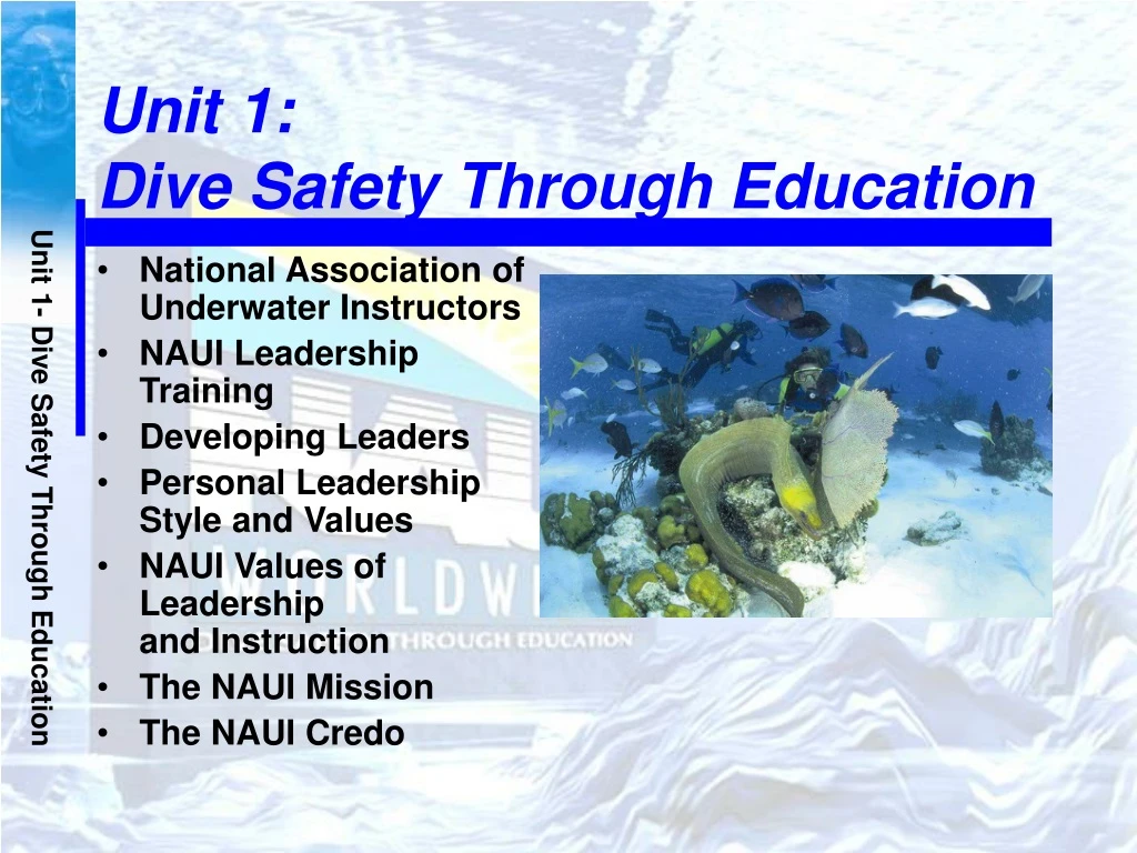 unit 1 dive safety through education