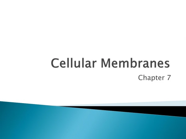 Cellular Membranes