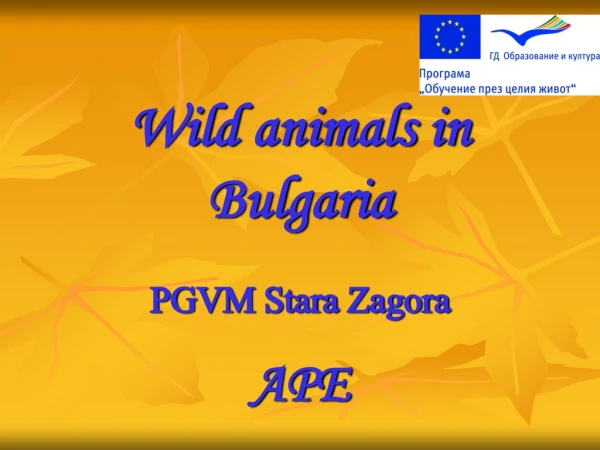 Wild animals in Bulgaria