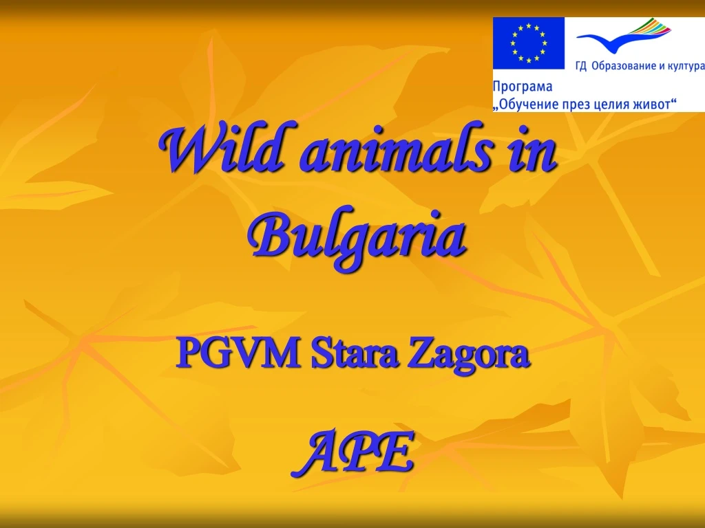 wild animals in bulgaria