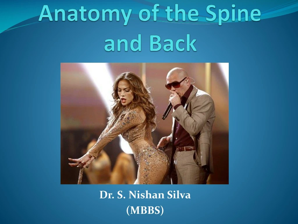 anatomy of the spine and back