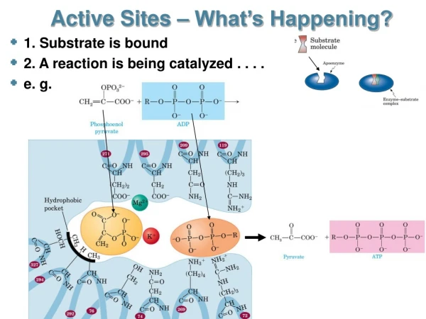 Active Sites – What’s Happening?