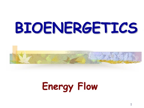 BIOENERGETICS