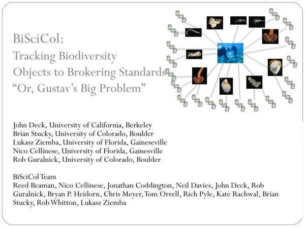 BiSciCol:  Tracking Biodiversity  Objects to Brokering Standards “ Or, Gustav ’ s Big Problem ”