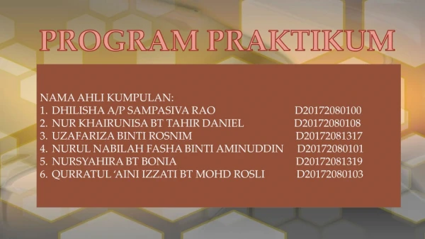 PROGRAM PRAKTIKUM