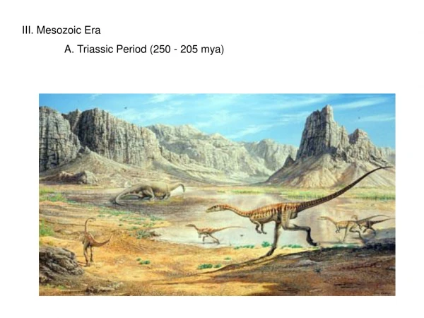 III. Mesozoic Era 	A. Triassic Period (250 - 205 mya)