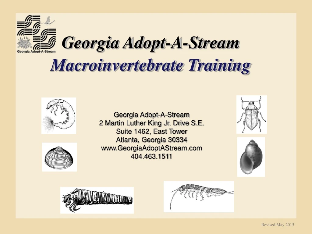 georgia adopt a stream macroinvertebrate training