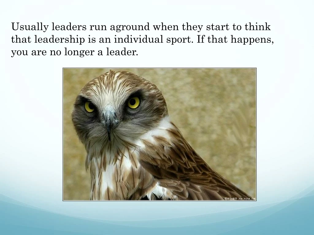 usually leaders run aground when they start