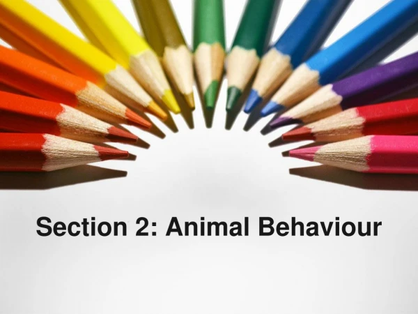 Section 2: Animal Behaviour