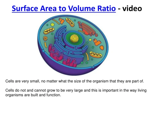 Surface Area to Volume Ratio  - video