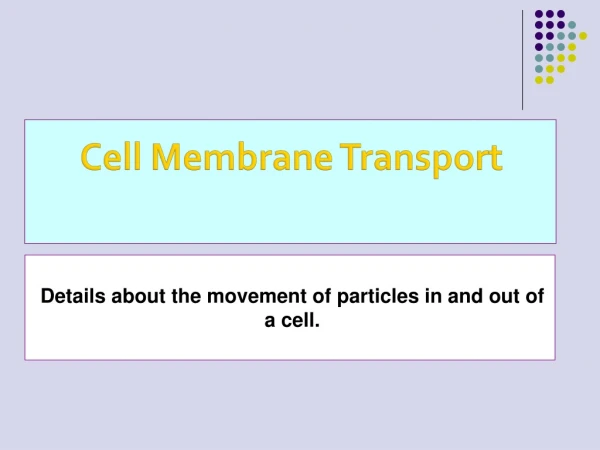 Details about the movement of particles in and out of a cell.