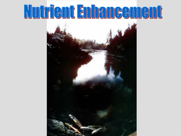 Nutrient Enhancement