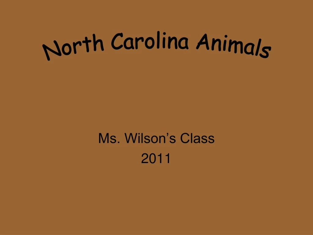 ms wilson s class 2011