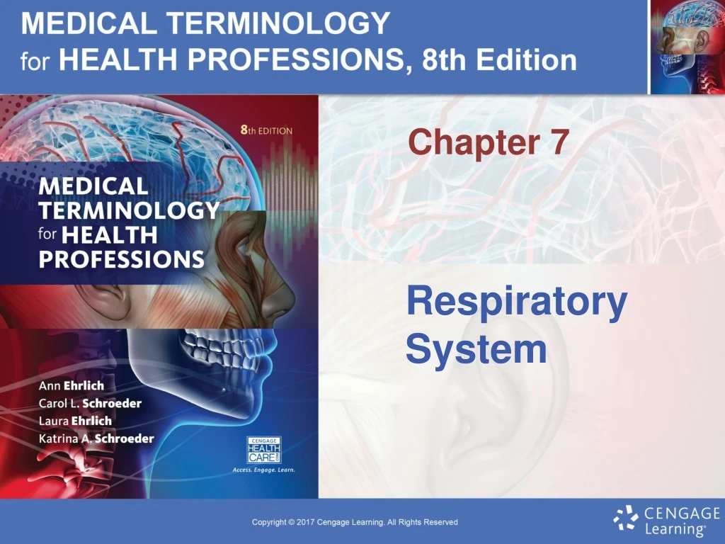 respiratory system