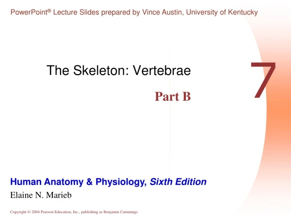 The Skeleton: Vertebrae Part B