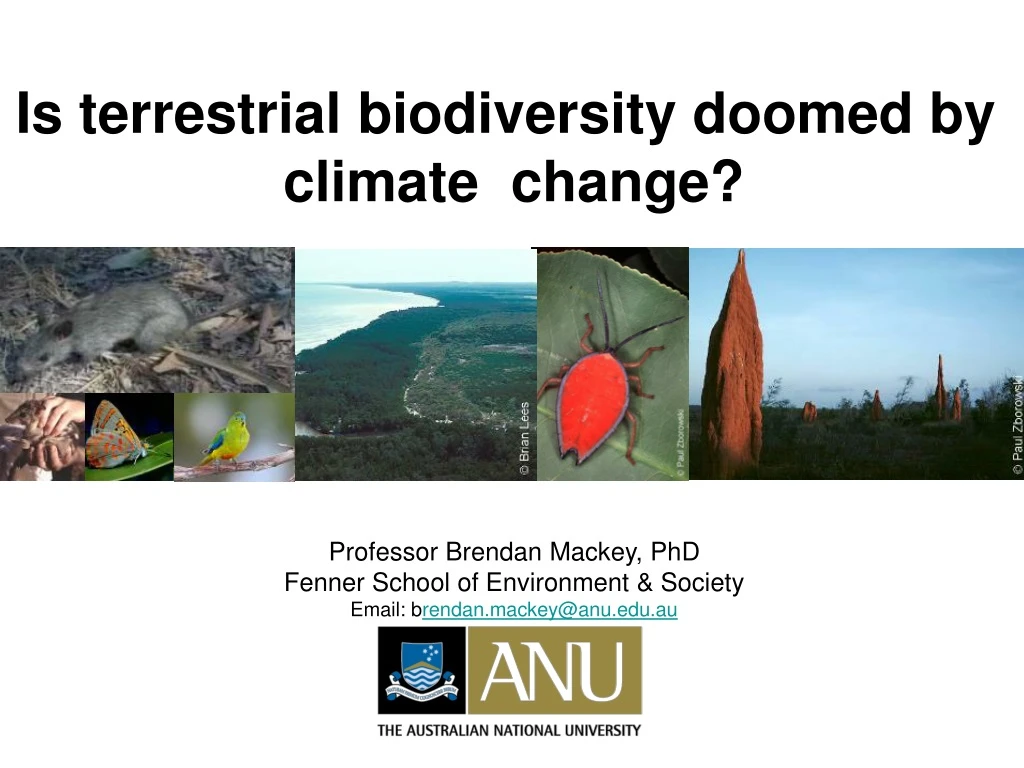 is terrestrial biodiversity doomed by climate change