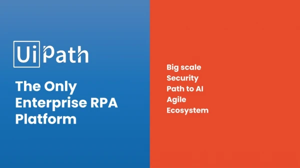 Big scale Security Path to AI Agile  Ecosystem