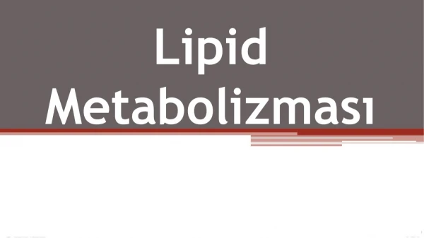 Lipid   Metabolizması