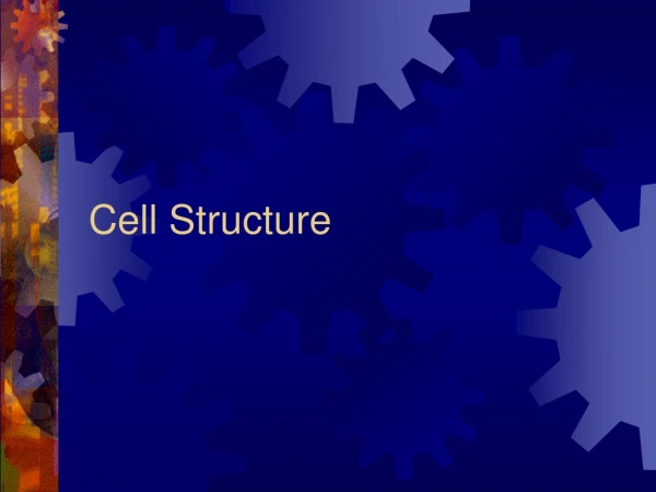 Cell Structure