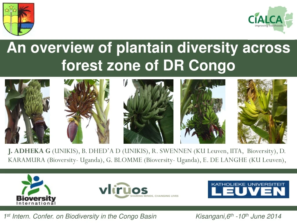 an overview of plantain diversity across forest