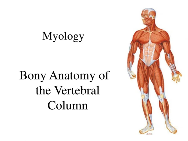 Myology