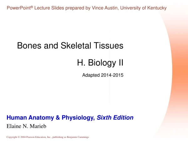 Bones and Skeletal Tissues H. Biology II Adapted 2014-2015