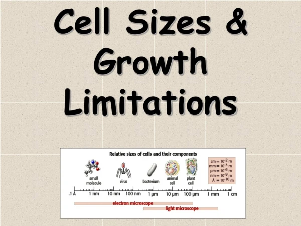 Cell Sizes &amp; Growth Limitations